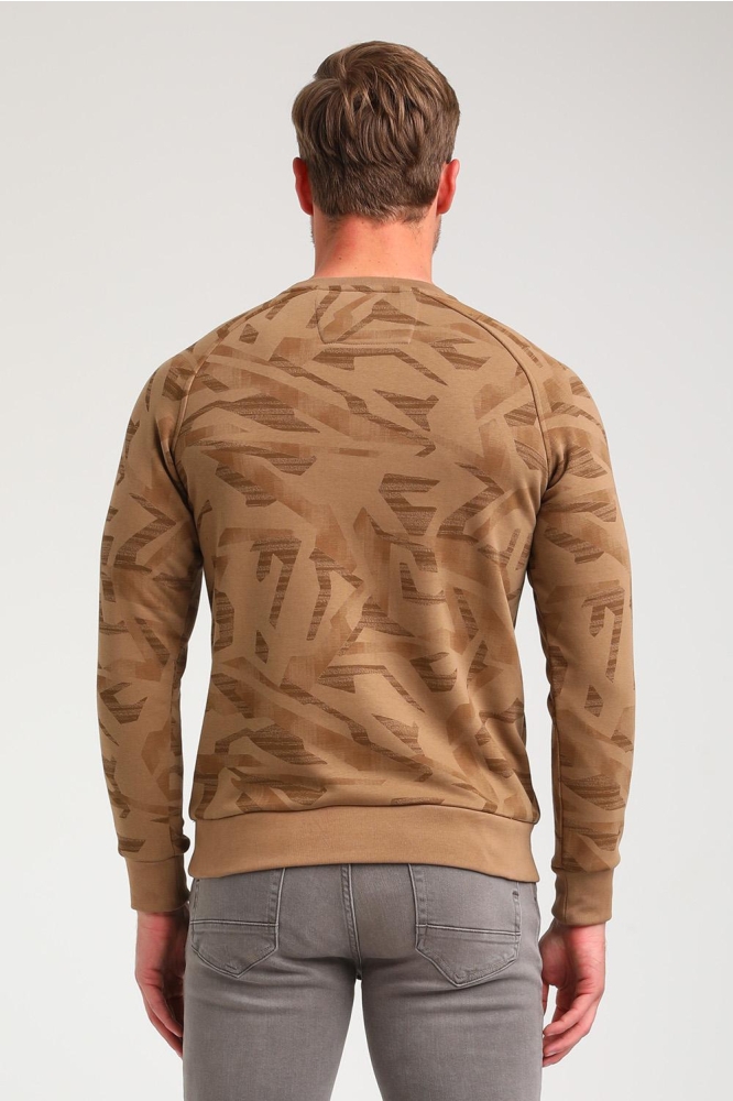 SWEATER MET PRINT 774770 4412 khaki brown